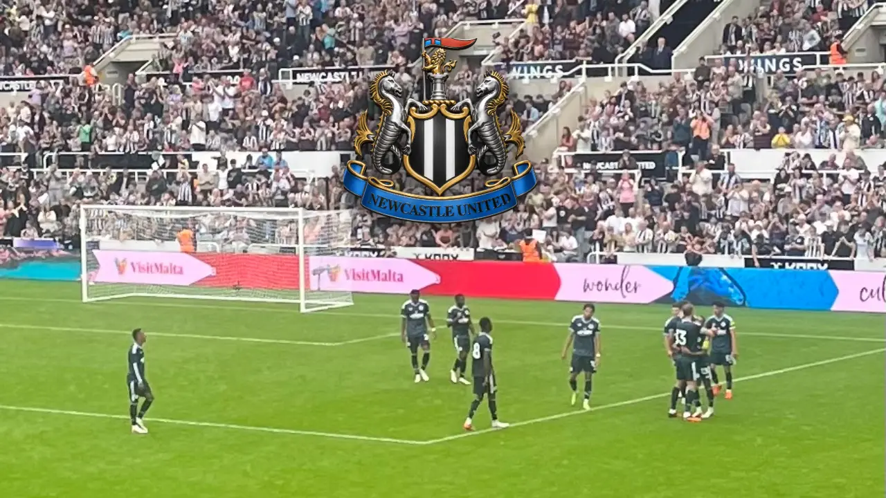 Two 7.5s and several 7/10s - Newcastle player ratings vs Strasbourg
